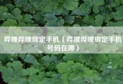 哔哩哔哩绑定手机（哔哩哔哩绑定手机号码在哪）