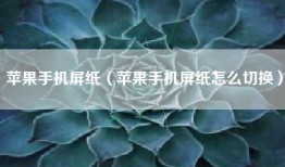 苹果手机屏纸（苹果手机屏纸怎么切换）