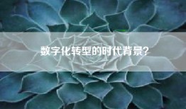 数字化转型的时代背景？