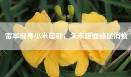 雷军现身小米总部，久未露面略显消瘦