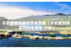 手机数据恢复软件免费版（手机数据恢复软件免费版 安卓）