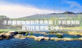 手机数据恢复软件免费版（手机数据恢复软件免费版 安卓）