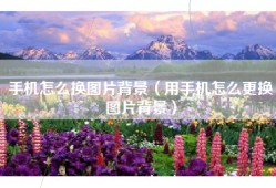 手机怎么换图片背景（用手机怎么更换图片背景）