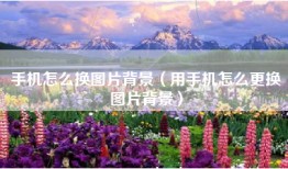 手机怎么换图片背景（用手机怎么更换图片背景）