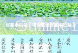 客服手机号（中国联通客服手机号）