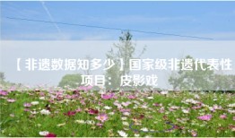 【非遗数据知多少】国家级非遗代表性项目：皮影戏