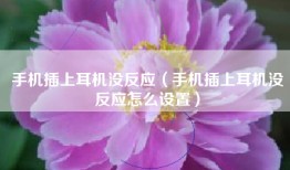 手机插上耳机没反应（手机插上耳机没反应怎么设置）