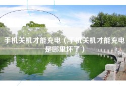 手机关机才能充电（手机关机才能充电是哪里坏了）