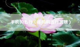 手机的五行（手机的五行属啥）