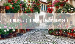 手机的ua（手机的UA模式那种好）