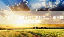 “走进非遗展示馆”系列之三：南京博物院非遗馆