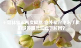 王健林雷军两度同框 意外暴露小米手机销量停滞急需线下解困？