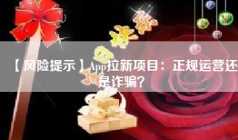 【风险提示】App拉新项目：正规运营还是诈骗？