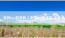 支持ldac的手机（支持ldac的手机 小米）