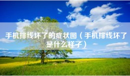 手机排线坏了的症状图（手机排线坏了是什么样子）