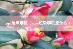 oppo垃圾手机（oppo垃圾手机是什么）