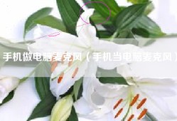 手机做电脑麦克风（手机当电脑麦克风）