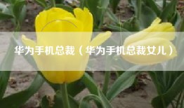 华为手机总裁（华为手机总裁女儿）