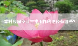 本科应届毕业生找工作的途径有哪些？