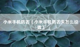 小米手机防丢（小米手机防丢失怎么设置）