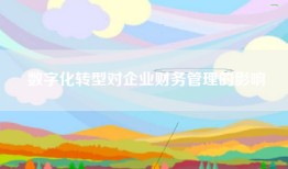 数字化转型对企业财务管理的影响