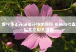 数字货币在深揭开神秘面纱 揭秘首批幸运儿使用全过程