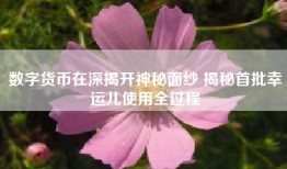 数字货币在深揭开神秘面纱 揭秘首批幸运儿使用全过程