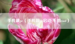 手机做pe（手机做pe启动 不用root）