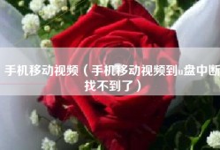 手机移动视频（手机移动视频到u盘中断找不到了）