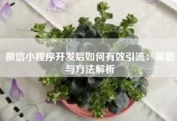 微信小程序开发后如何有效引流：策略与方法解析