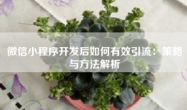 微信小程序开发后如何有效引流：策略与方法解析