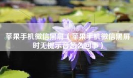 苹果手机微信黑屏（苹果手机微信黑屏时无提示音怎么回事）