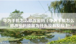 华为手机怎么修改密码（华为手机怎么修改密码锁屏为什么没有反应）