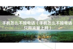 手机怎么不接电话（手机怎么不接电话只用流量上网）