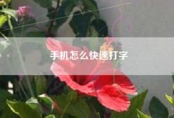 手机怎么快速打字
