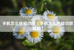 手机怎么连接功放（手机怎么连接功放唱歌）