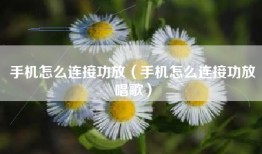 手机怎么连接功放（手机怎么连接功放唱歌）