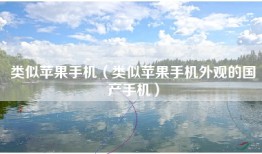 类似苹果手机（类似苹果手机外观的国产手机）