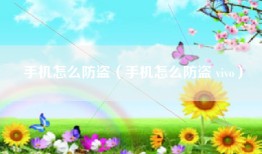 手机怎么防盗（手机怎么防盗 vivo）
