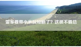 雷军要带小米玩短剧了？这很不霸总