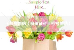 手机号网站（身份证查手机号网站）