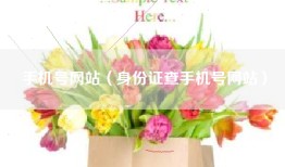 手机号网站（身份证查手机号网站）