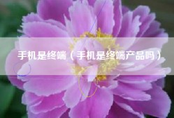 手机是终端（手机是终端产品吗）