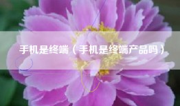 手机是终端（手机是终端产品吗）