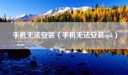 手机无法安装（手机无法安装apk）