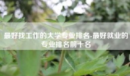 最好找工作的大学专业排名-最好就业的专业排名前十名
