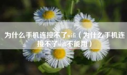 为什么手机连接不了wifi（为什么手机连接不了wifi不能用）