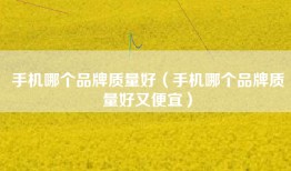 手机哪个品牌质量好（手机哪个品牌质量好又便宜）