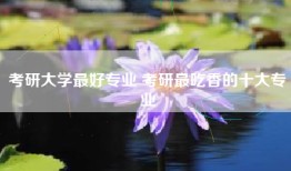 考研大学最好专业 考研最吃香的十大专业