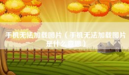 手机无法加载图片（手机无法加载图片是什么意思）